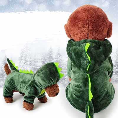 green dinosaur costume spikes hood white background