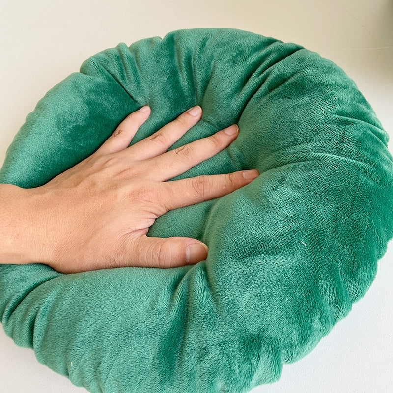 hand on green cushion pet bed