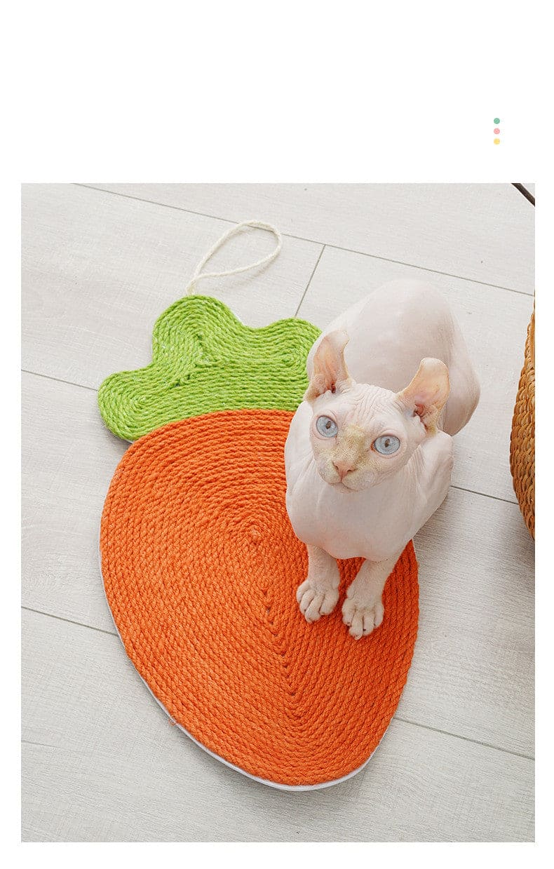 hairless cat sitting strawberry mat