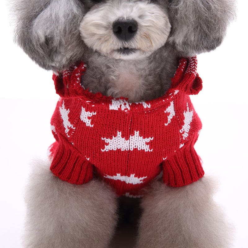 closeup red knitted dog sweater