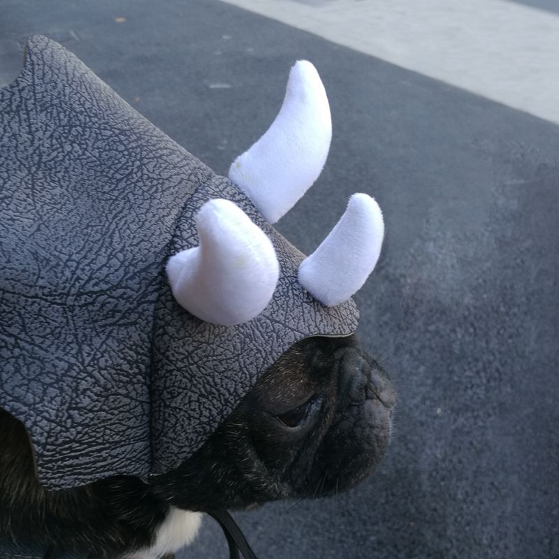 Pet Triceratops Dog Dinosaur Hat