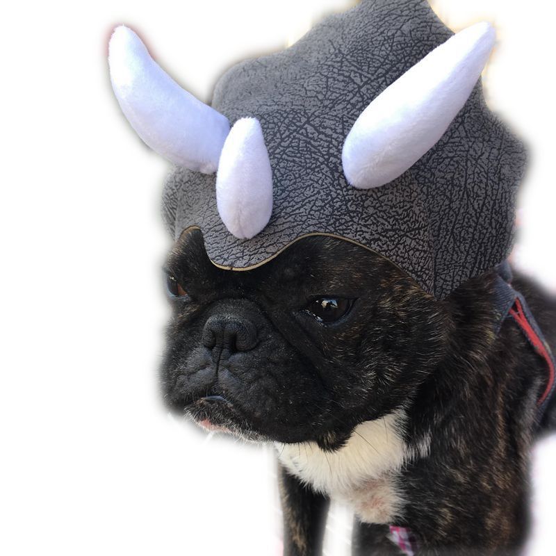 Pet Triceratops Dog Dinosaur Hat