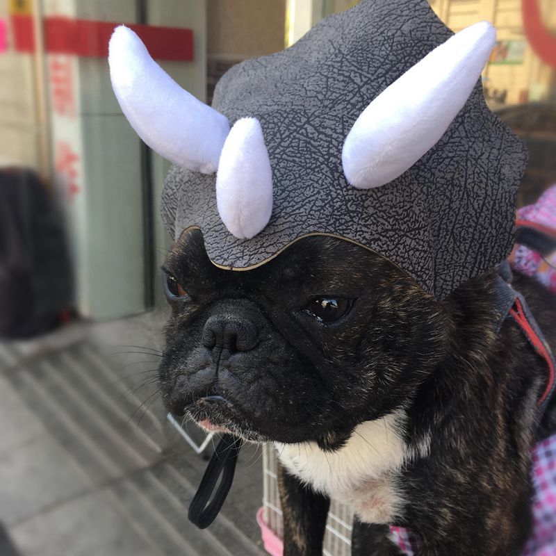 Pet Triceratops Dog Dinosaur Hat