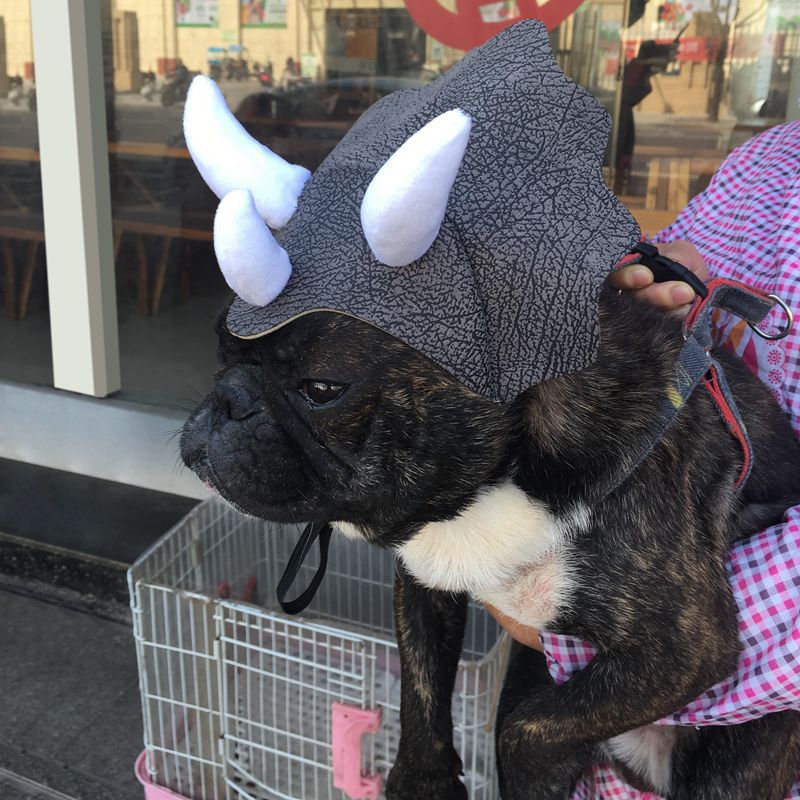 Pet Triceratops Dog Dinosaur Hat