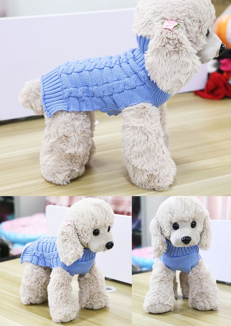 blue dog sweater on small dog