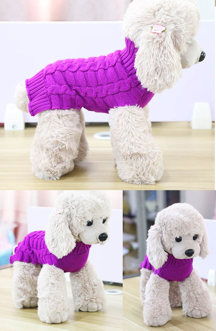 purple knitted sweater on small white dog