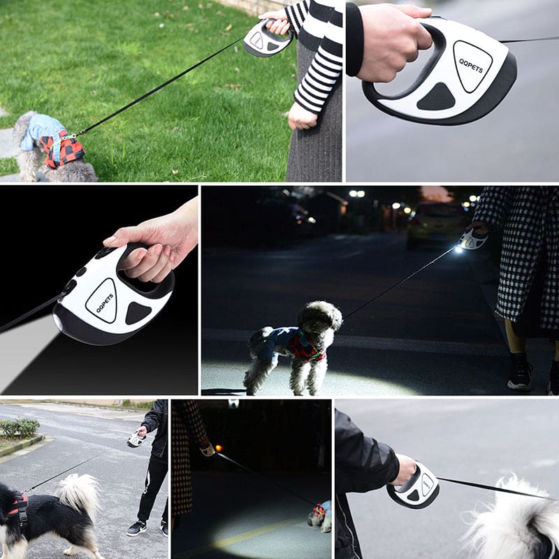 whit dog leash lighted qq pets