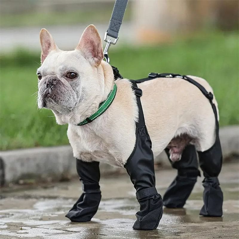 Waterproof Adjustable Dog Boots: Breathable, Dog Shoe Paw Protectors