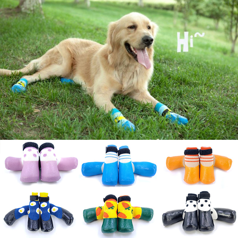 retriever wearing blue dog socks laying grass