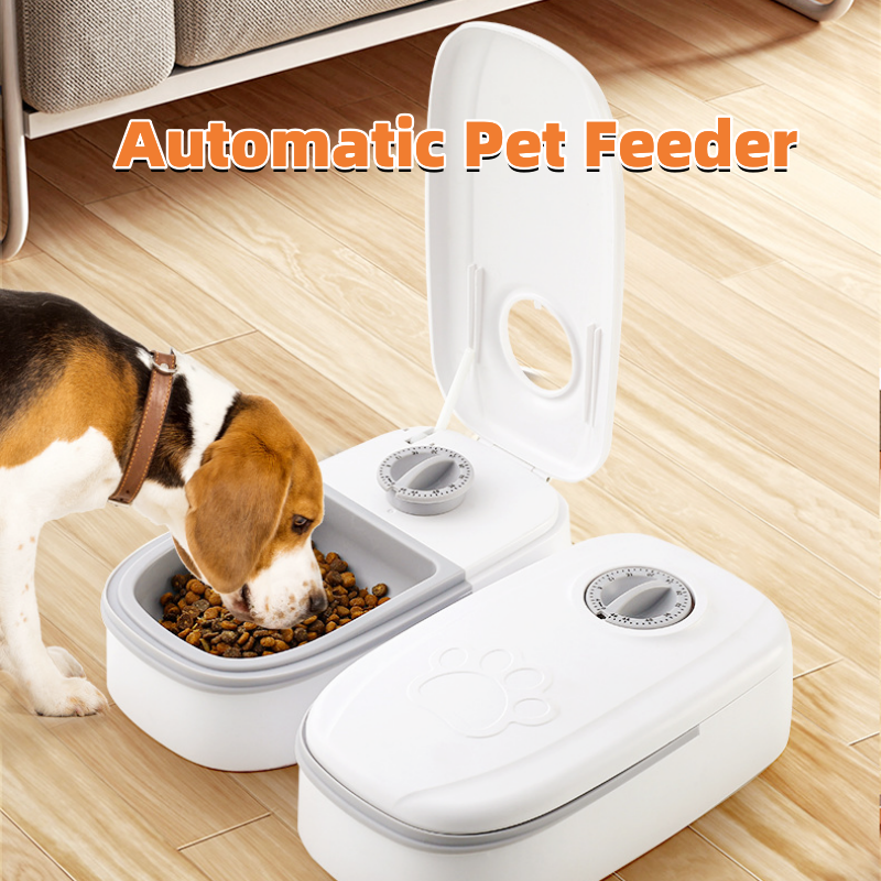 automatic pet food bowl with timer