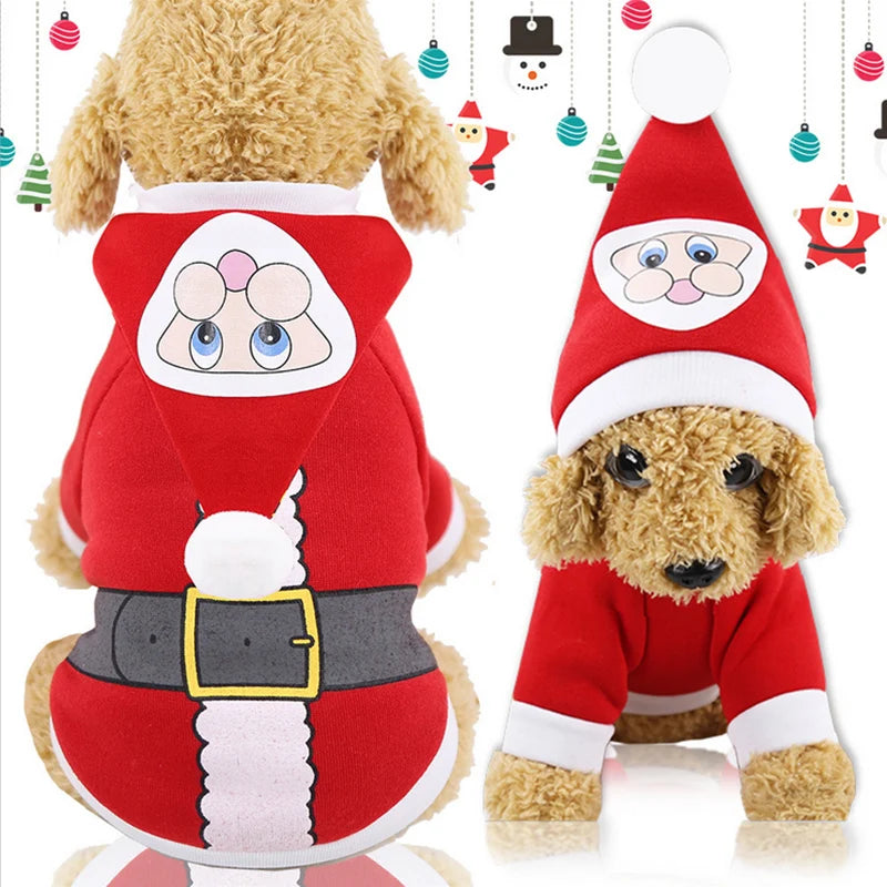 baby face santa suit dogs cats