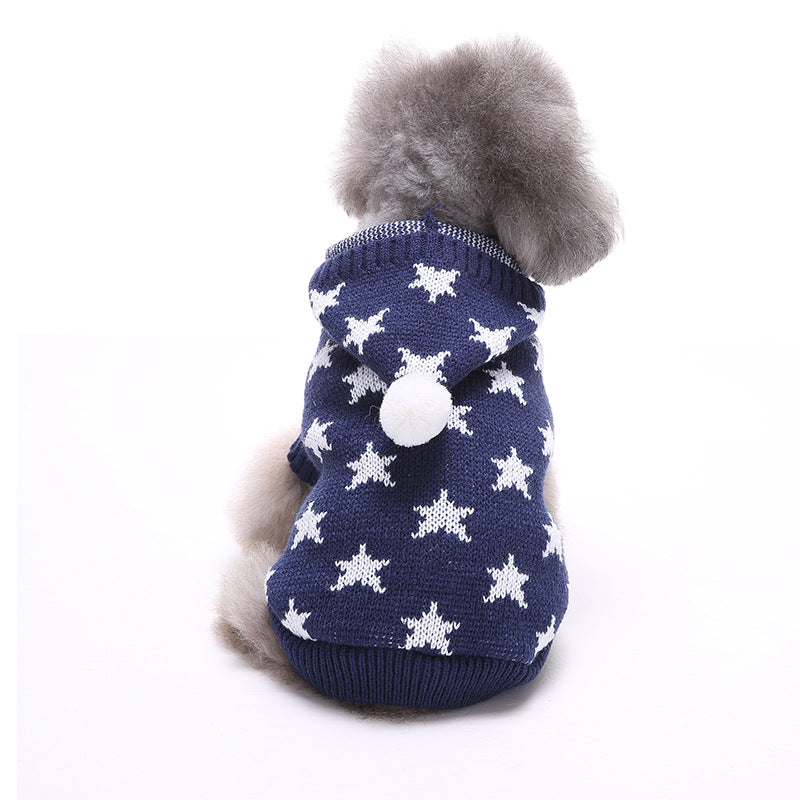 little dog blue sweater white stars ball on hood