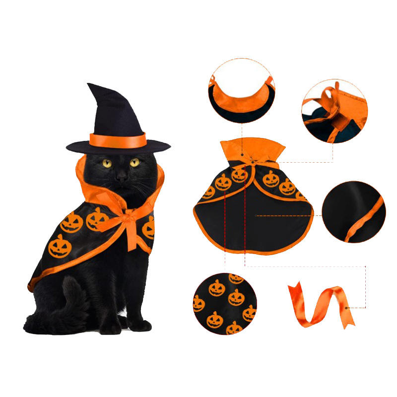 black cat pumpkin cloak witches hat