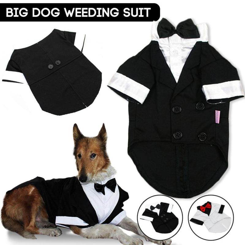 Big dog wedding suit tuxedo