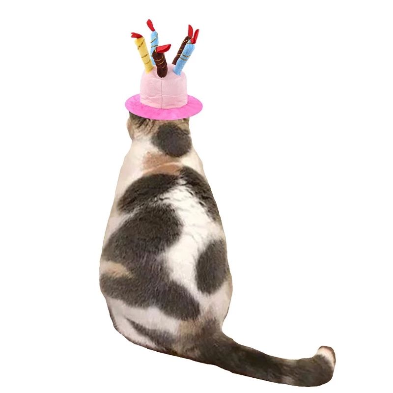 birthday candle hat on cat facing away