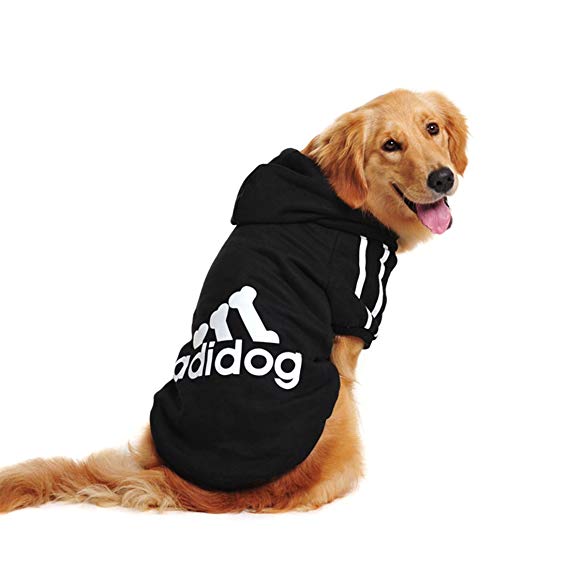 black adidog sweater on labrador