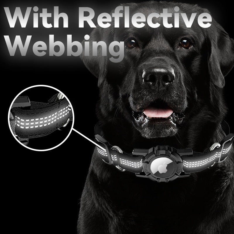 black dog reflective webbing collar holds airtag