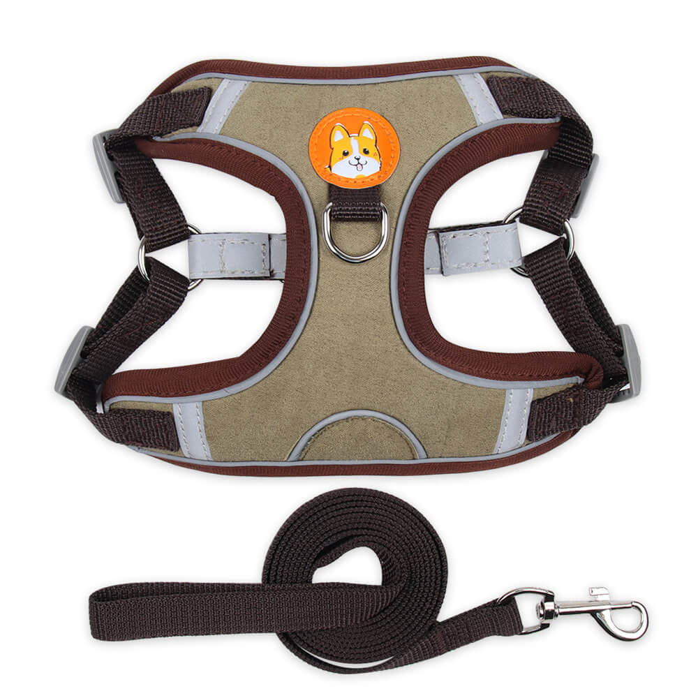 black brown dog harness leash white background