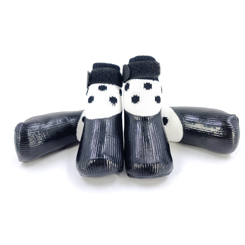 black polka dot dog sock white background