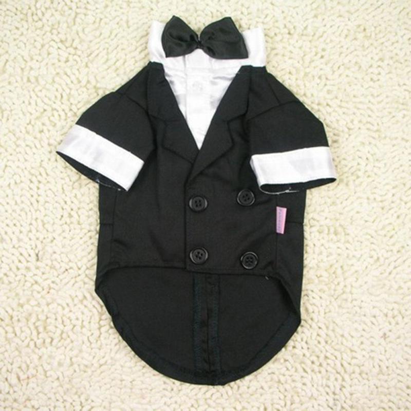 black tuxedo dog jacket