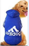 blue adidog sweater on labrador