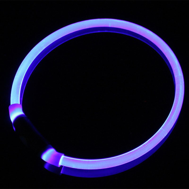 blue light up dog collar black background