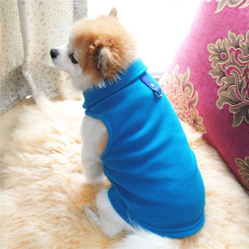 small dog wearing blue polar fleece