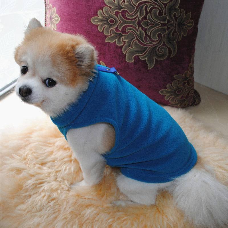 small dog wearing blue polar fleece