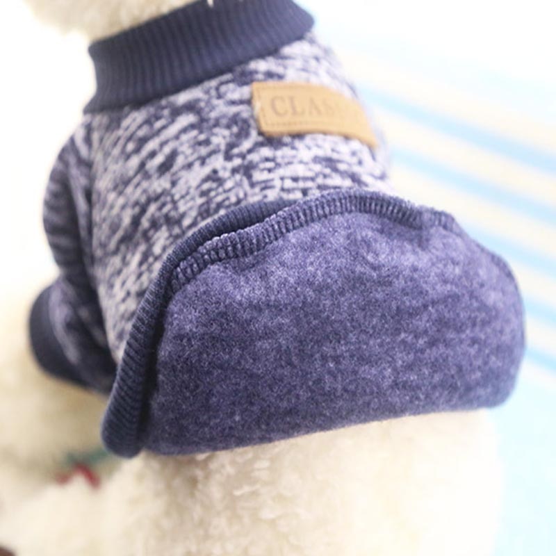 blue dog sweater back view