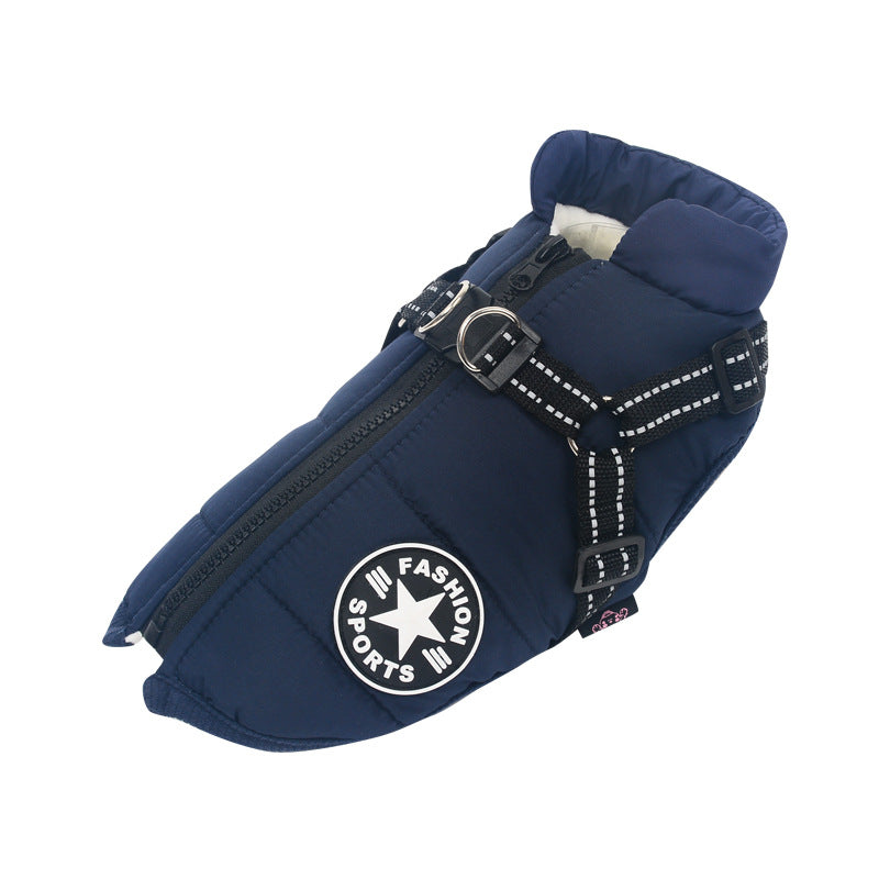 blue sports fashion dog coat