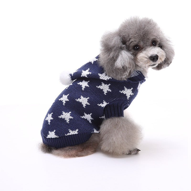 blue star sweater little dog white background