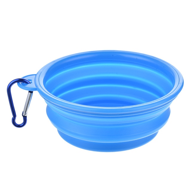 clear blue collapsible dog bowl