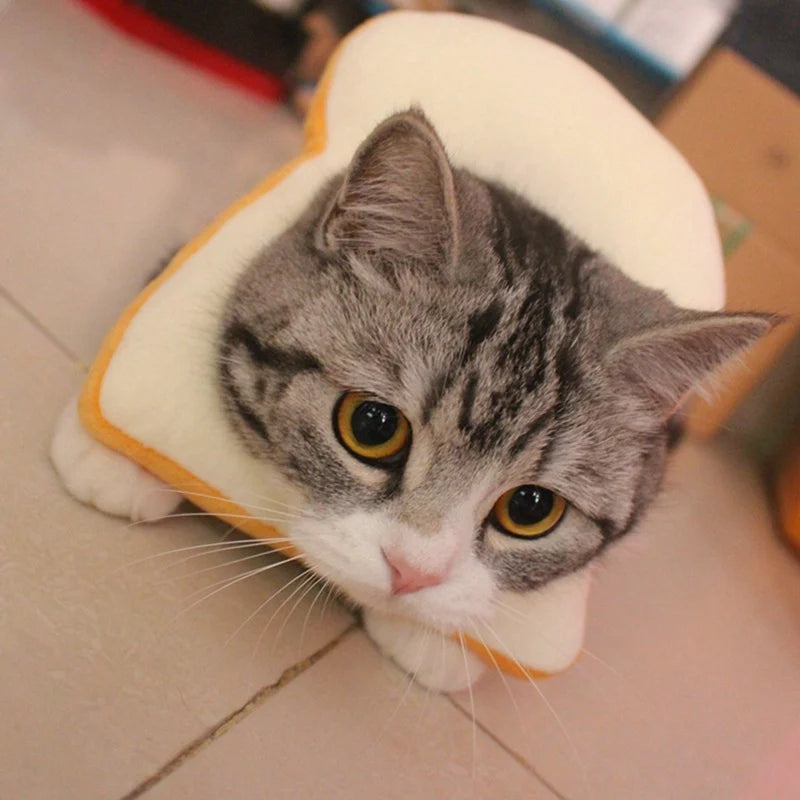 cute cat bread costume