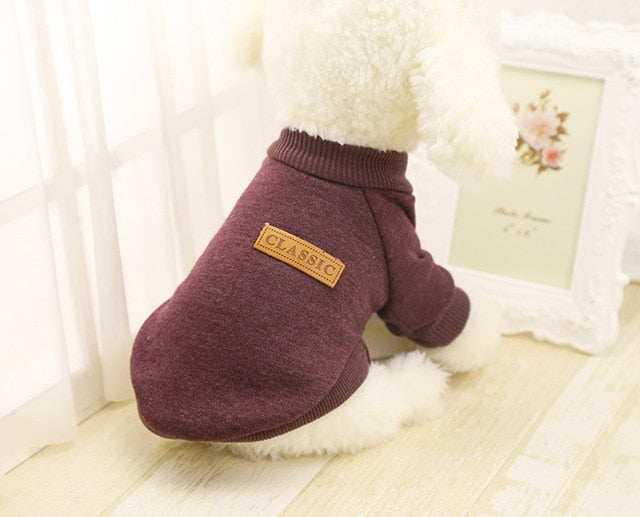 brown winter dog sweater white dog