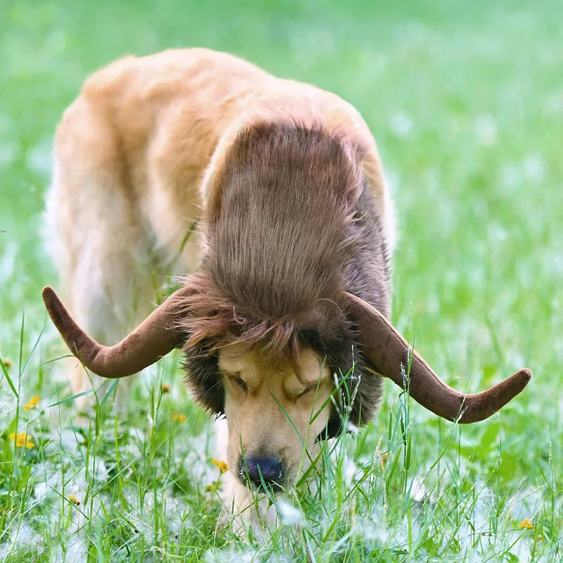 Bull Mane Dog Wig: Fun & Adorable Costume Accessory