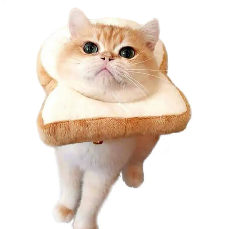 cat head through bread costume