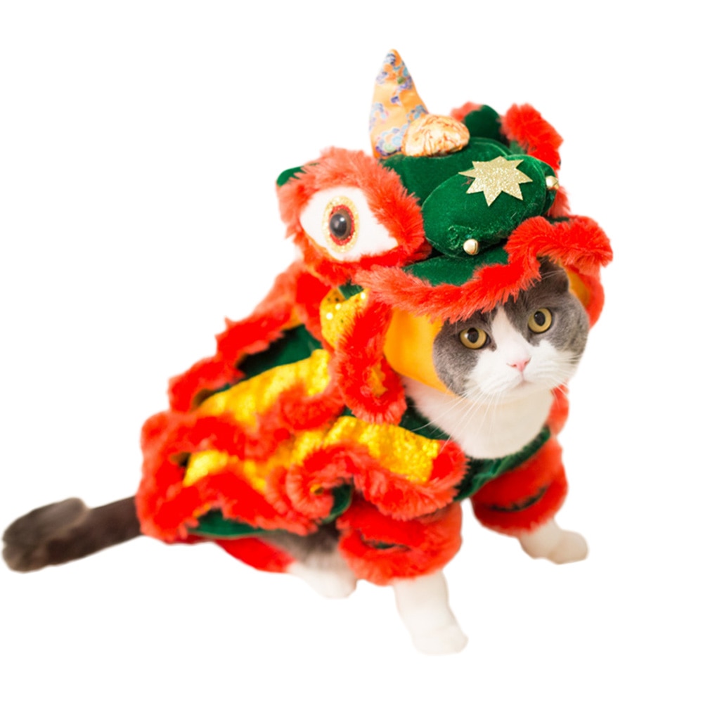 cat costume chinese new year dragon