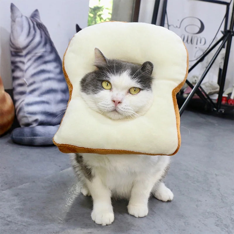 Cat bread costume hotsell