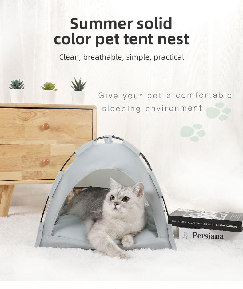 cat laying pet tent white carpet