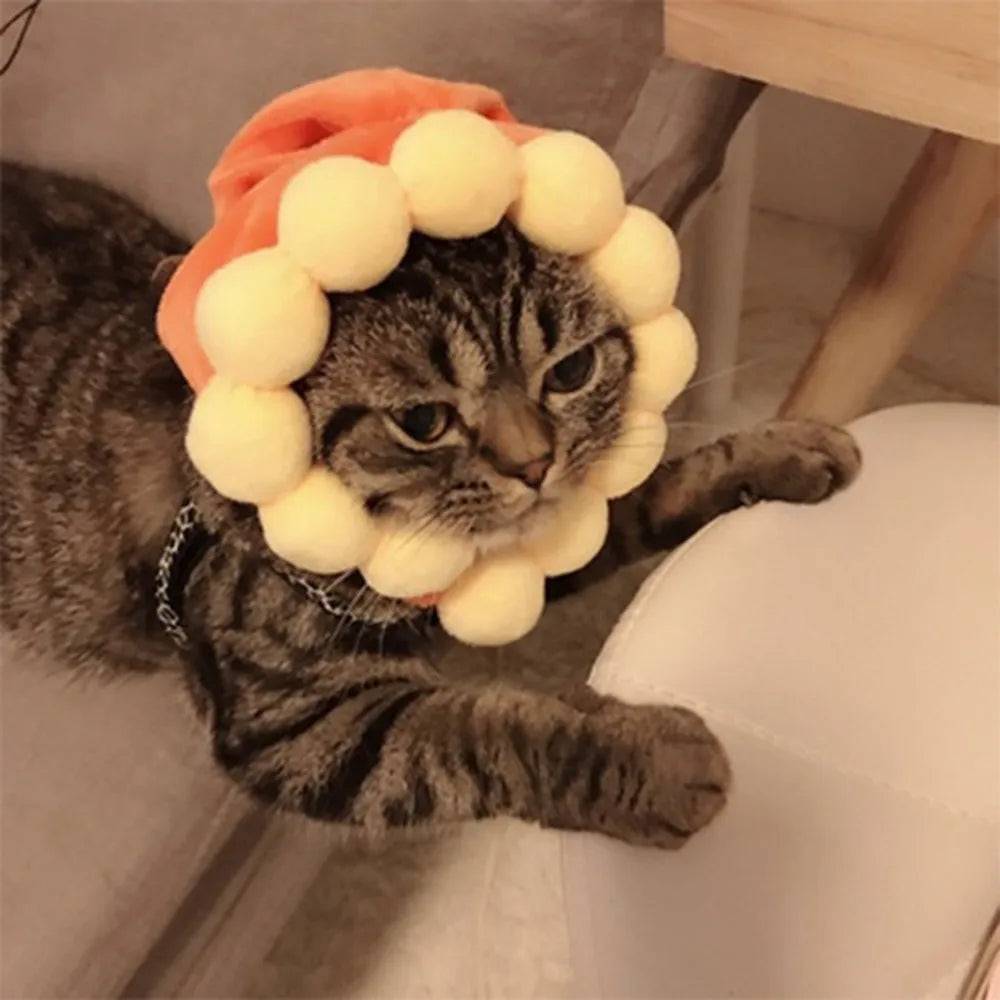 cat wearing flower ball hat stretching