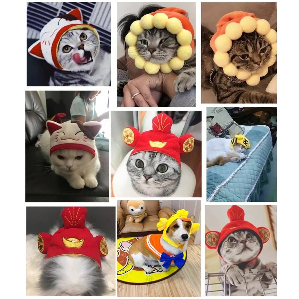 cat collage and dog funny hats