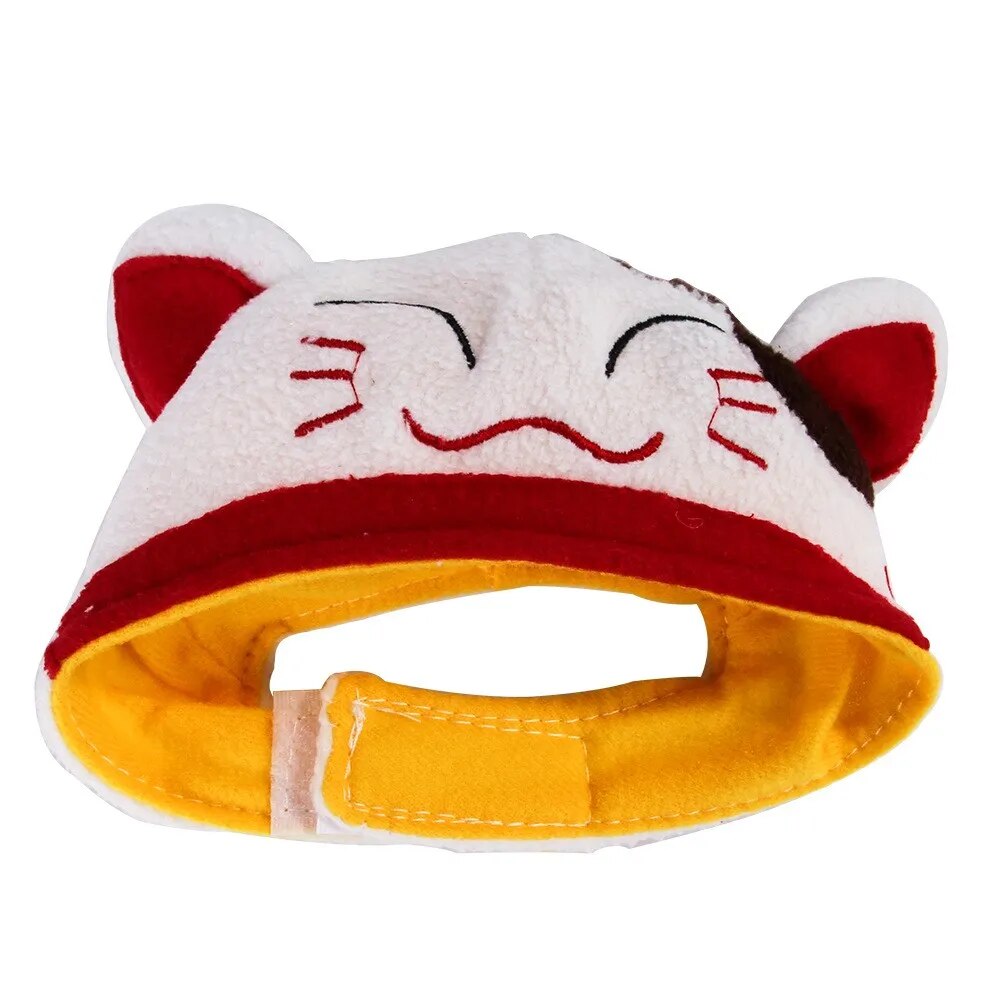 chinese lucky cat pet hat white background