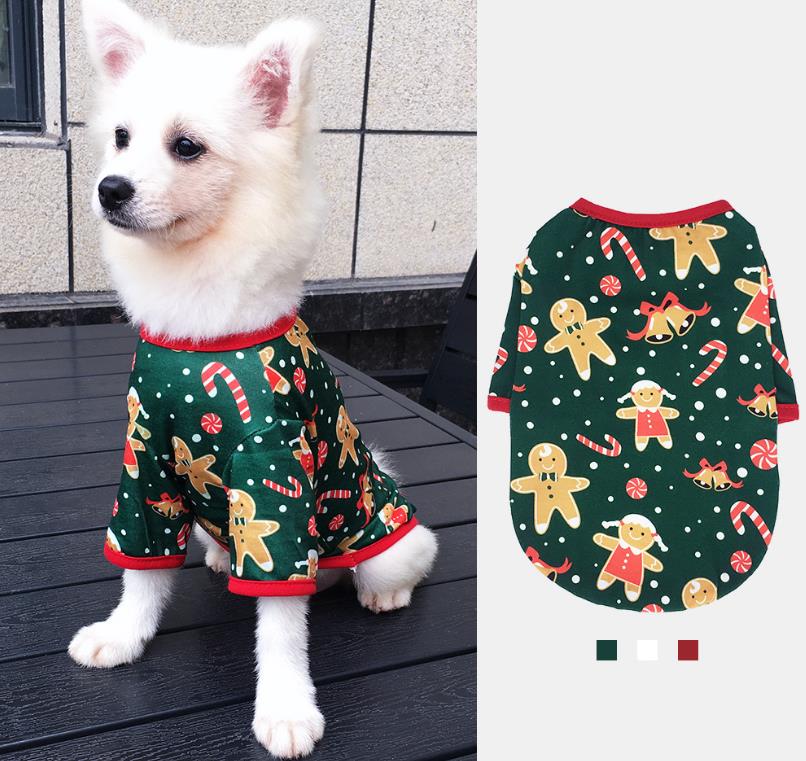 cute white dog wearing christmas onesie with gingerbread men woman and candy canes on porch