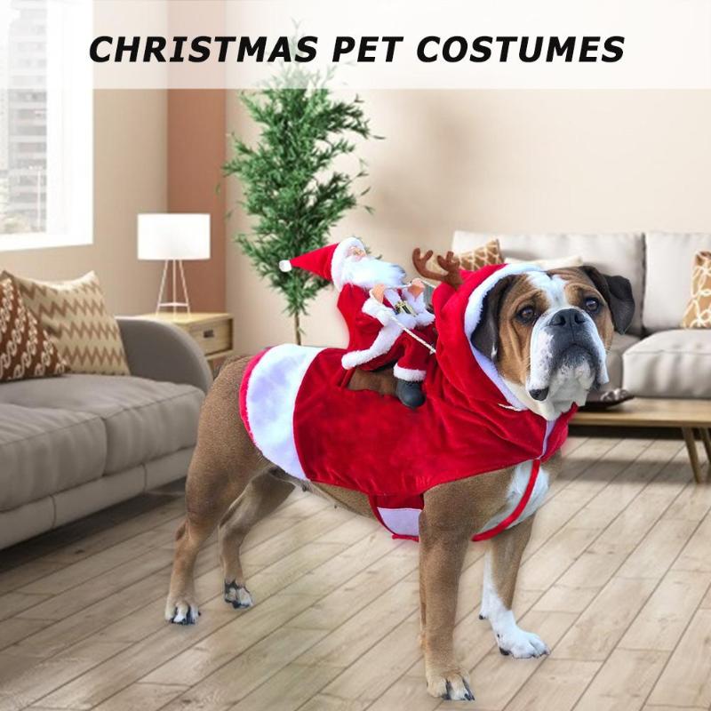 christmas pet costumes santa riding dog in living room