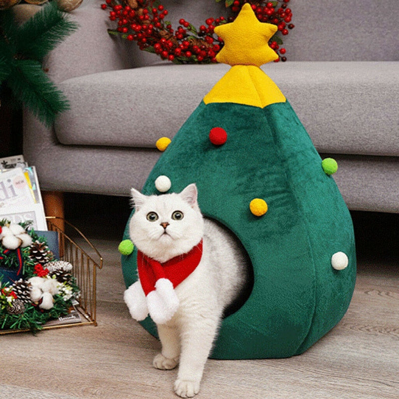 cat coming from christmas tree pet bed living room