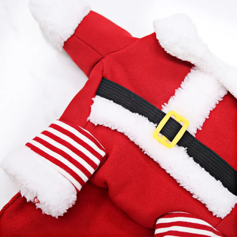 close up classic santa suit sweater for pets