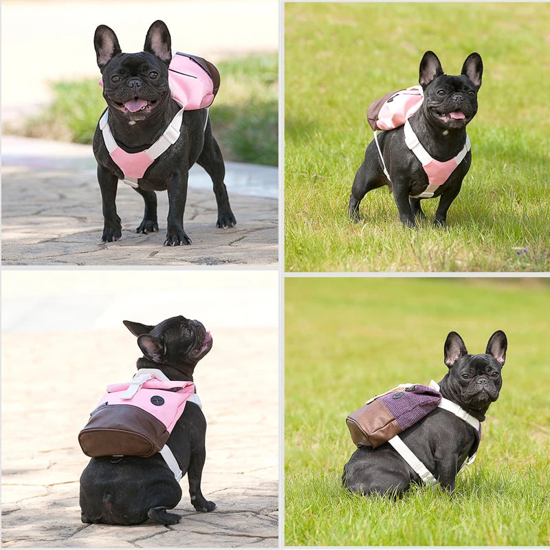 small black dog wearing a pick backpack standing on grass and cobblestone. Four small pictures