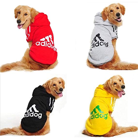 Multiple adidog sweaters labradors