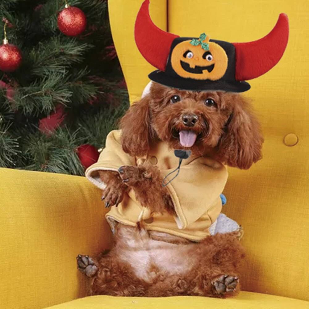 dog wearing horned pumpkin hat