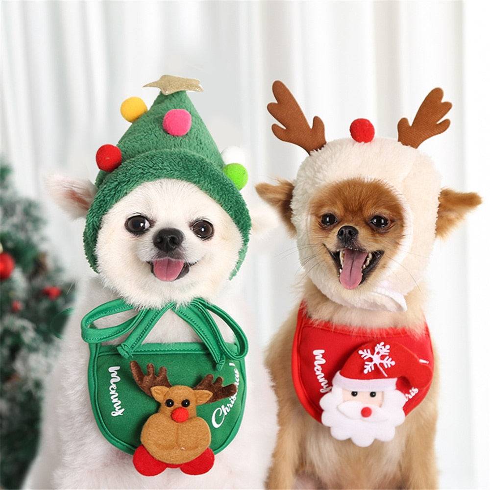 two small dogs christmas outfits green red